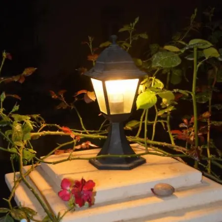 Erguvan Affittacamere *