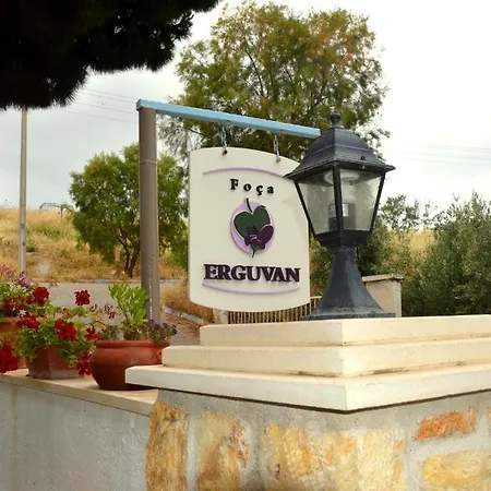 Erguvan
