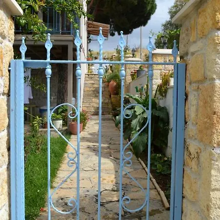 Erguvan Foca